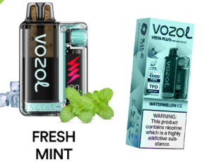 Vozol 20000 Fresh Mint