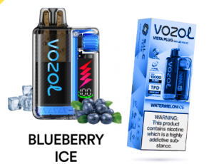 Vazol 20000 Blueberry Ice